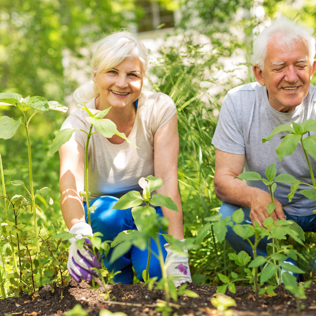 Featured image for “Navigating Market Volatility: Tips for a Stable Retirement Portfolio with Meridian Retirement Solutions”